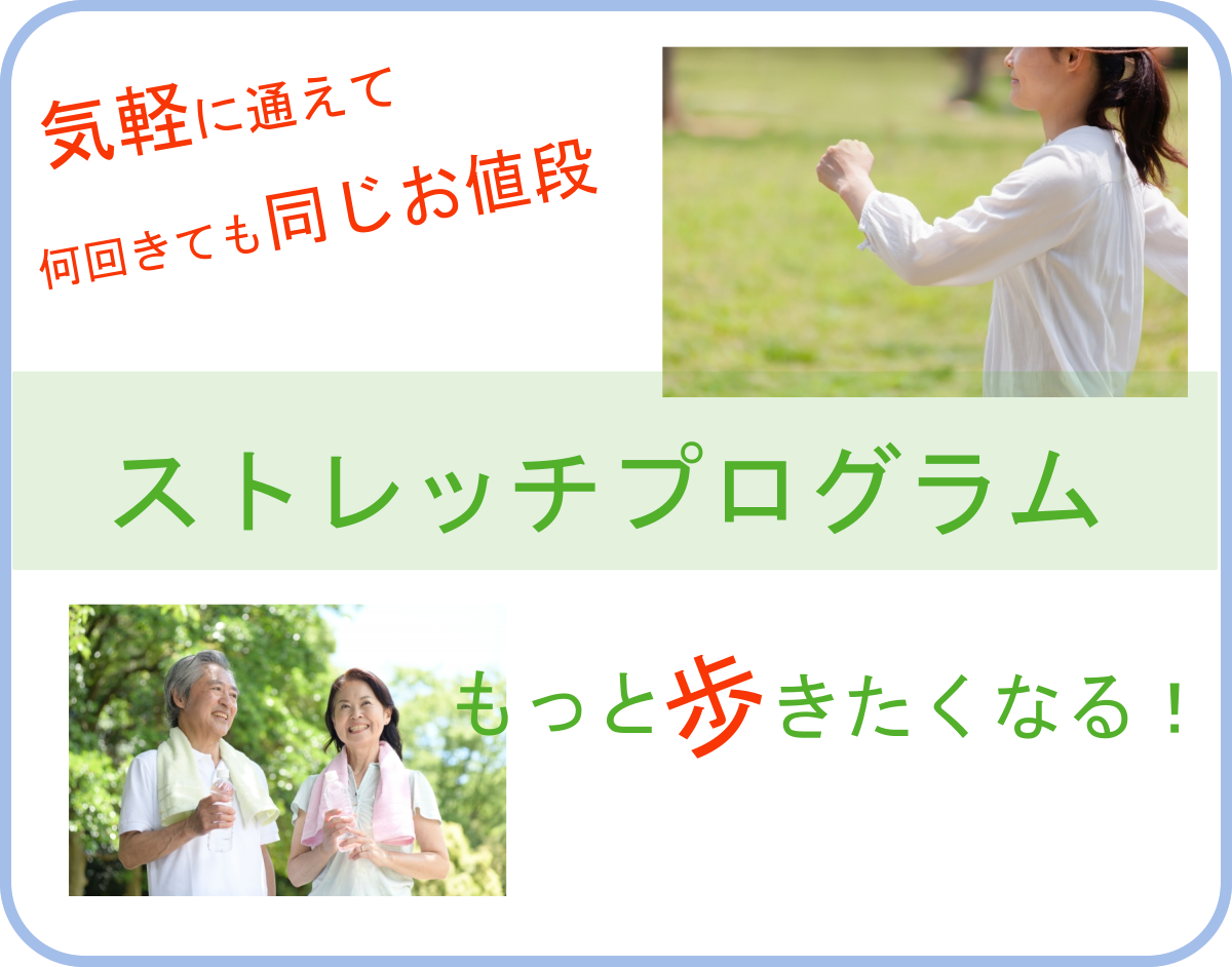 もっと歩きたくなる!お得なプランのご紹介