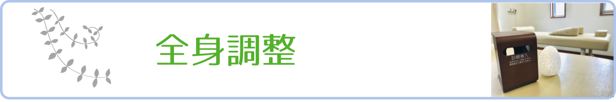全身調整